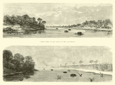 Varied views in the Plains of the Sacramento  by Edouard Riou