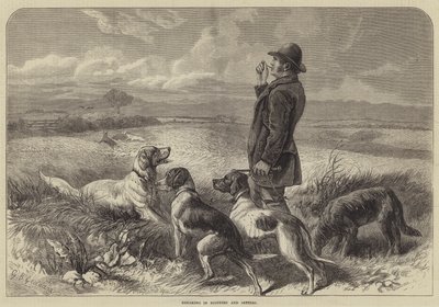 pointers and setters