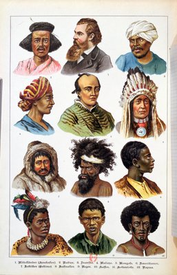 The Different Human Races from Natural History of the Animal Kingdom by Gotthelf Heinrich von Schubert 1861