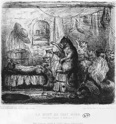 Death Of Cat Murr Illustration From The Life Views Of