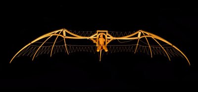 Da vinci glider online