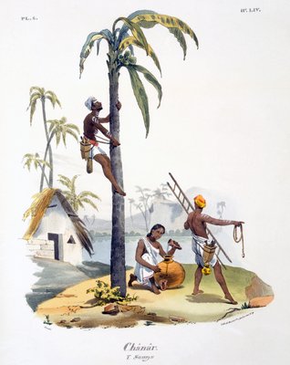 A Man Of The Nadar Caste Climbing A Palm Tree 1827 35 320029 A few outfits have dispatched batches of volunteers to educate and supervise the. a man of the nadar caste climbing a palm tree 1827 35