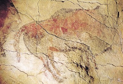 Bison From The Caves At Altamira C Cave Pain Bison From The Caves At Altamira C Cave Pain