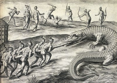 Naked Native Americans hunting alligators in Florida, USA