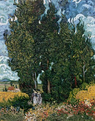 The Cypresses C 18 90 By Vincent Van Gogh