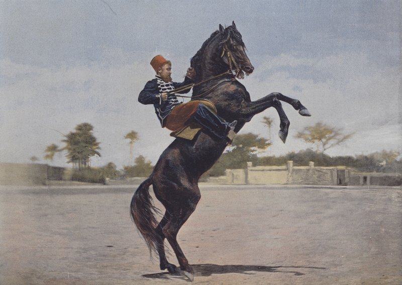 Our Horsemen by (after) French Photographer