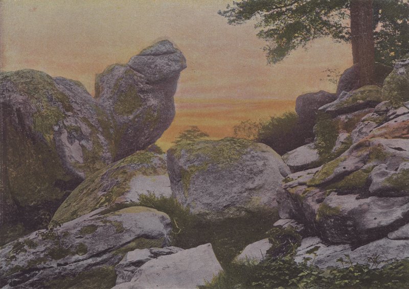 Rocks of Mount Ussy by (after) French Photographer