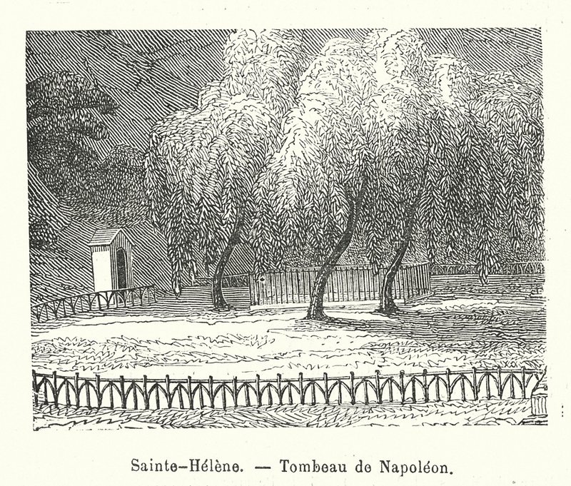 Sainte-Helene, Tombeau de Napoleon by (after) French School