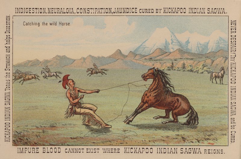 Native American Catching a Wild Horse by American School