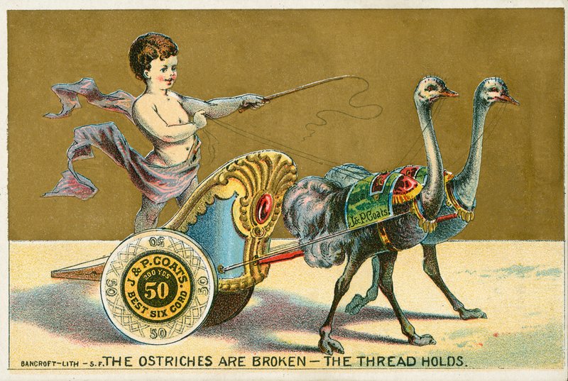 The Ostriches are Broken- The Thread Holds by American School