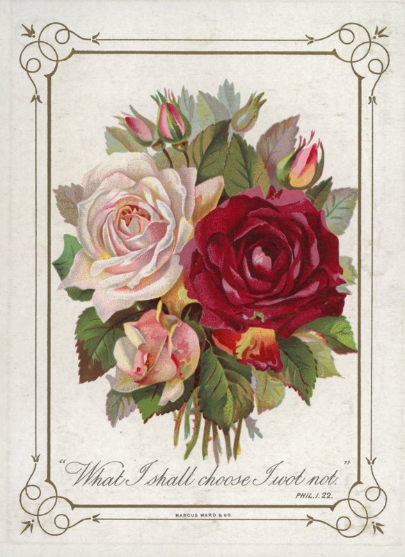 Posy of Flowers by English School