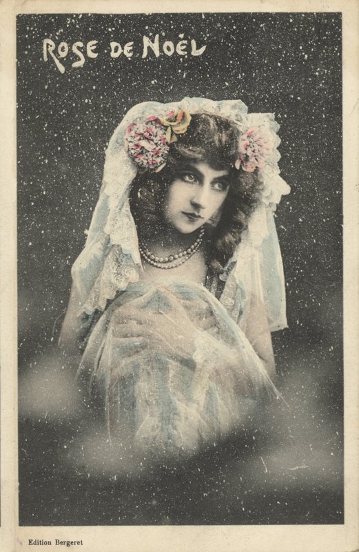 Christmas rose by French Photographer