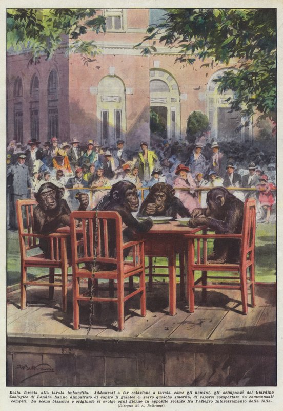 From the Forest to the Festive Table by Achille Beltrame