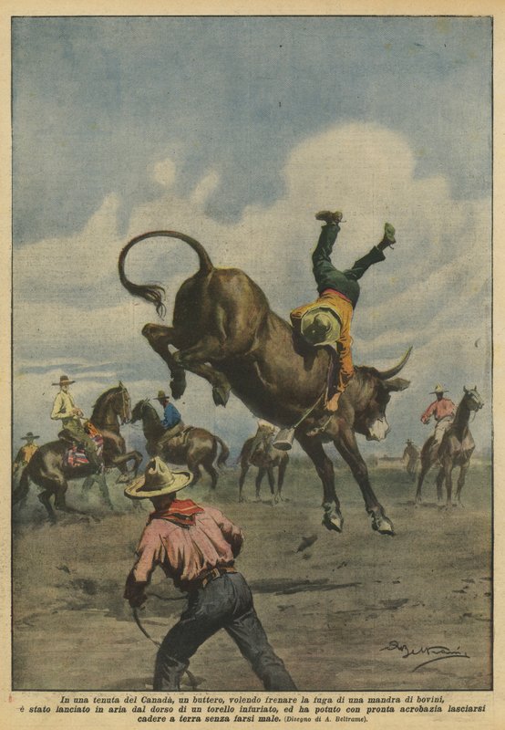 On a Canadian Estate, a Cowboy Trying to Stop a Herd of Cattle? by Achille Beltrame