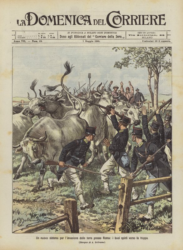 A new system for land invasion near Rome, oxen driven towards the troops by Achille Beltrame