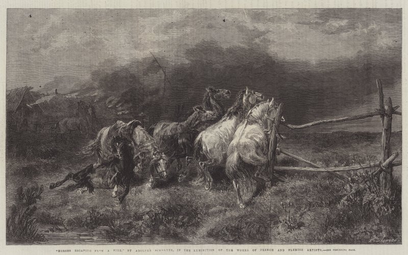 Horses Escaping from a Fire by Adolf Schreyer