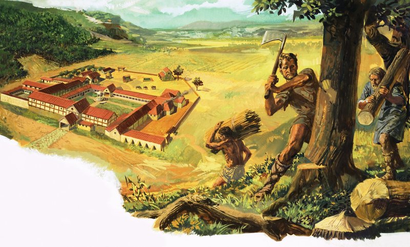 Unidentified man chopping wood carried to a settlement below by Alessandro Biffignandi