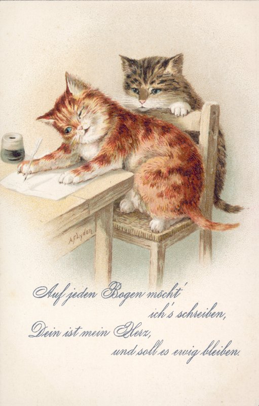 Humorous Cat Postcard by Alexander Francis (after) Lydon