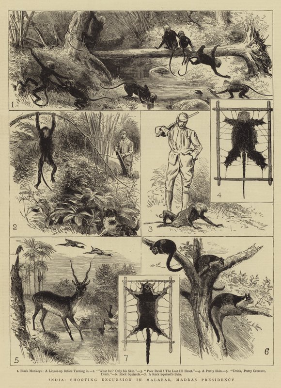 India, Shooting Excursion in Malabar, Madras Presidency by Alfred W. Cooper