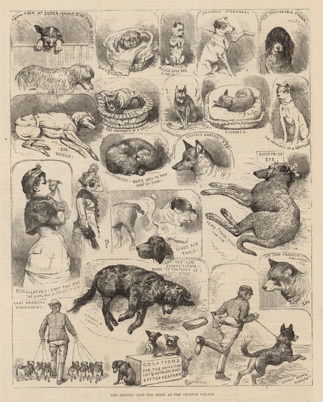 The Kennel Club Dog Show at the Crystal Palace by Alfred Chantrey Corbould