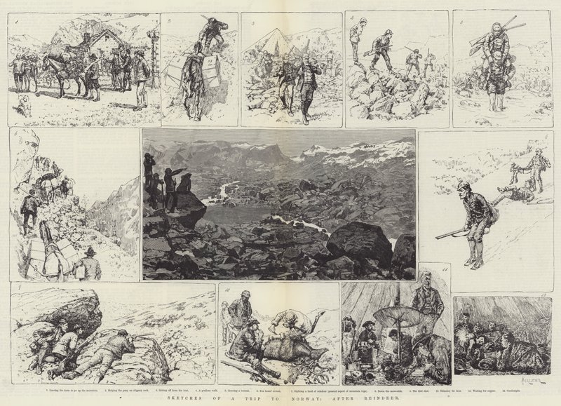 Sketches of a Trip to Norway, after Reindeer by Amedee Forestier