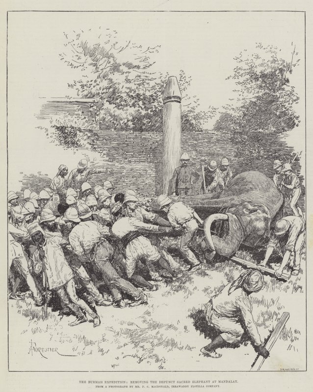 The Burmah Expedition, Removing the Defunct Sacred Elephant at Mandalay by Amedee Forestier