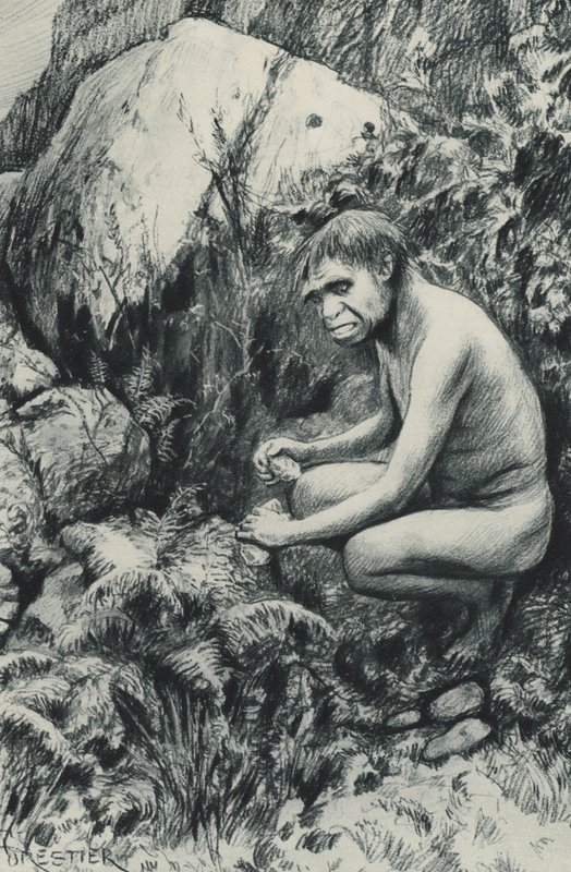 The ancient tenant of the Old Plateau, perhaps ten thousand centuries ago by Amedee Forestier