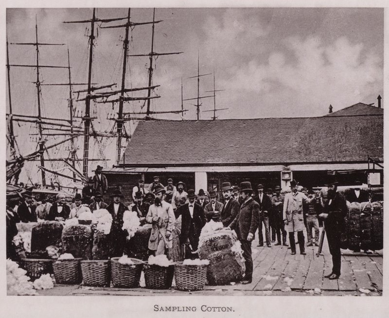 Sampling Cotton by American Photographer (after)