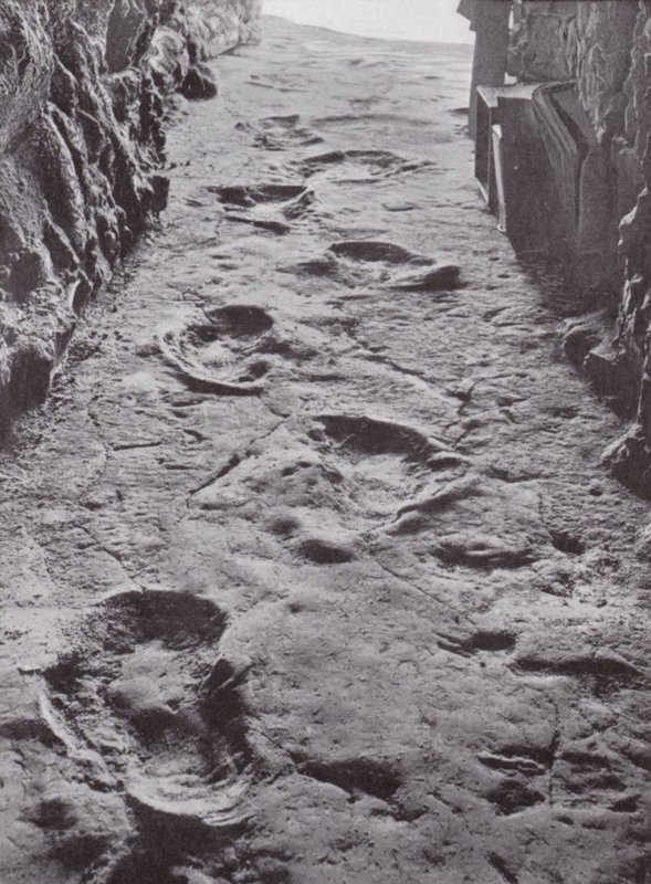 Fossilised Mammoth Footprints, Carson City, Nevada, USA by American Photographer