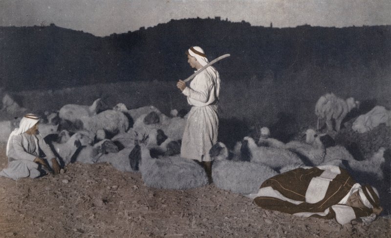 Palestinian shepherds watching their flock by night by American Photographer