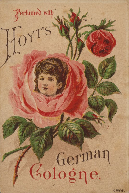 Hoyt