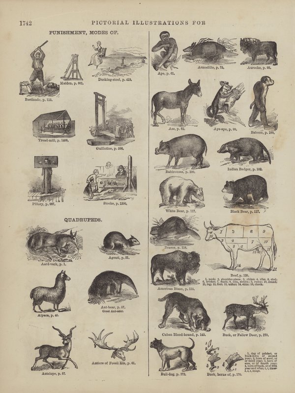 Page from Webster