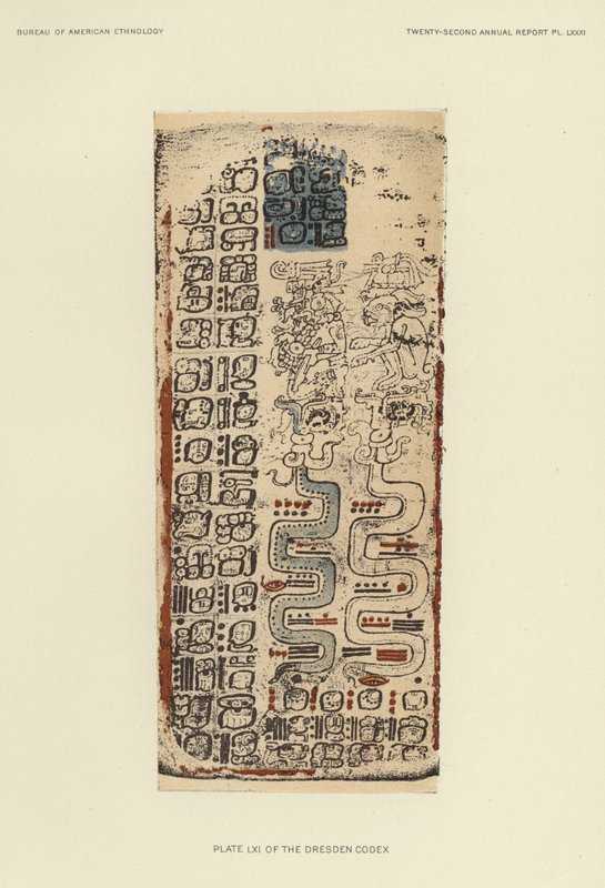 Plate LXI of the Dresden Codex by American School