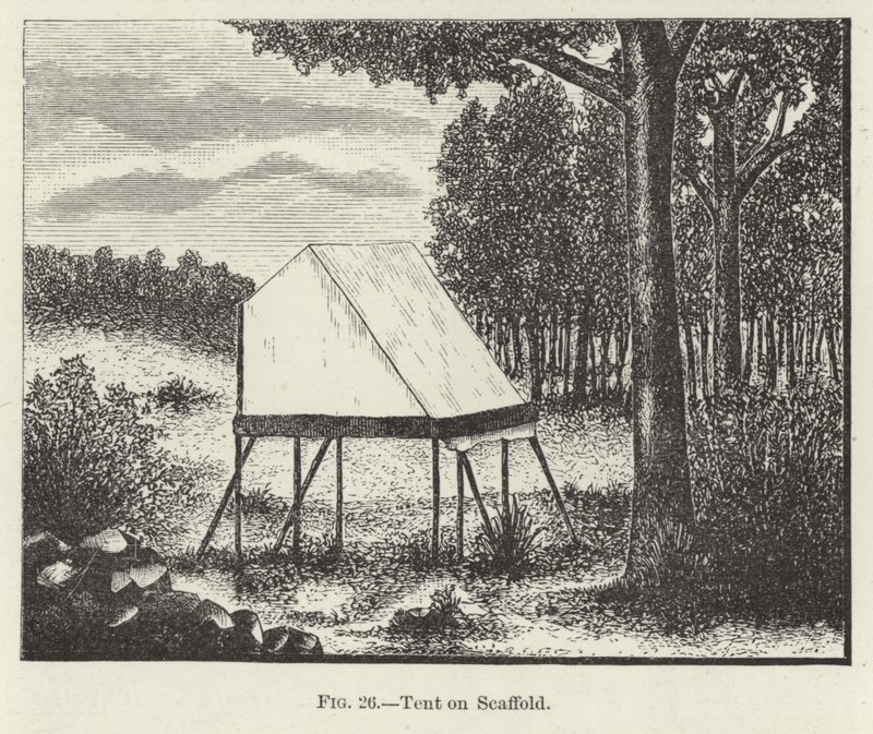 Tent on Scaffold by American School