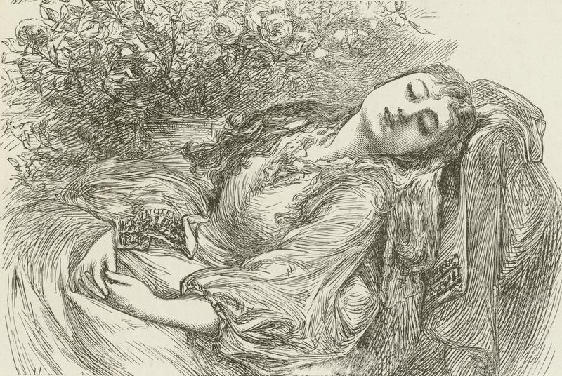 Vashti, the Outcast by American School