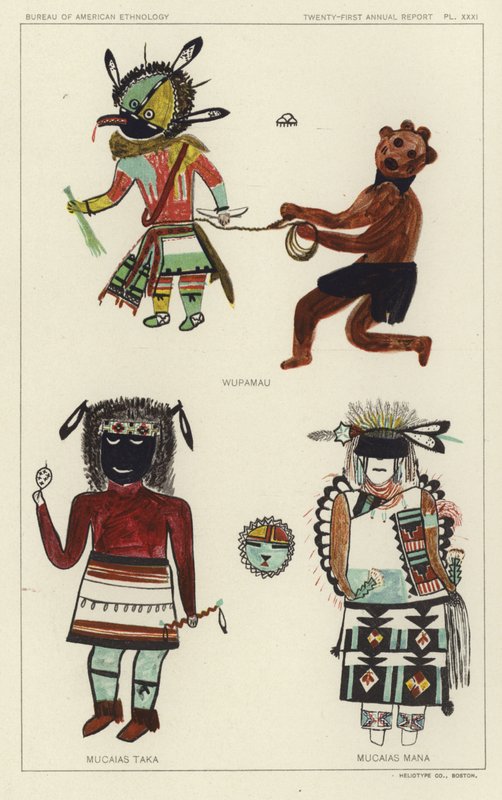 Wupamau, Mucaias Taka, Mucaias Mana by American School