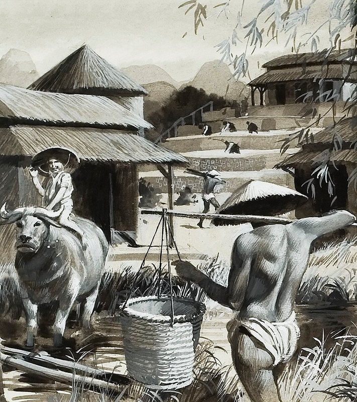 Farming in China by Andrew Howat