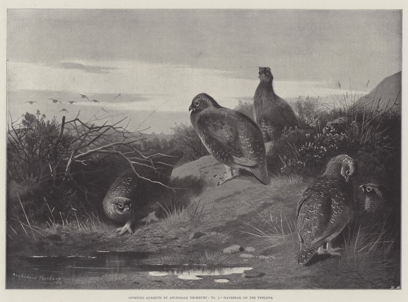 Sporting Subjects, Daybreak on the Twelfth by Archibald Thorburn