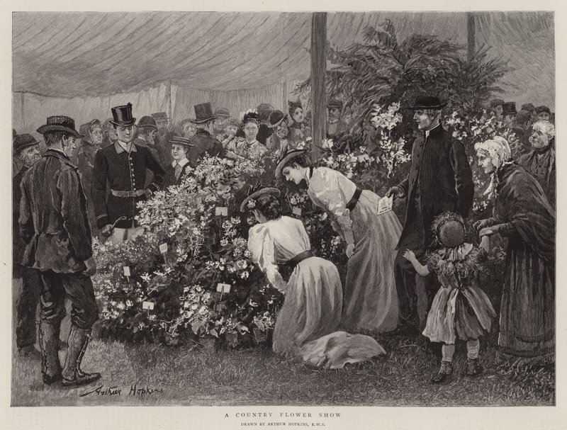 A Country Flower Show by Arthur Hopkins