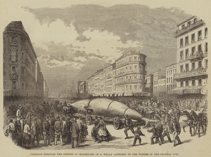 Carriage through the Streets of Marseilles of a Whale captured in the Waters of the Chateau d