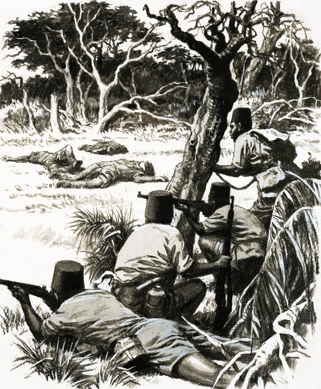 Outposts of the Empire: A Doctor on the Run by C.L. Doughty