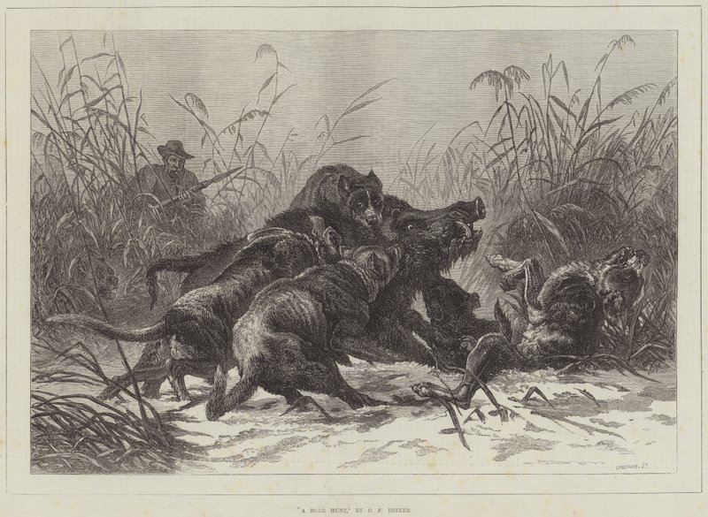 A Boar Hunt by Carl Friedrich Deiker