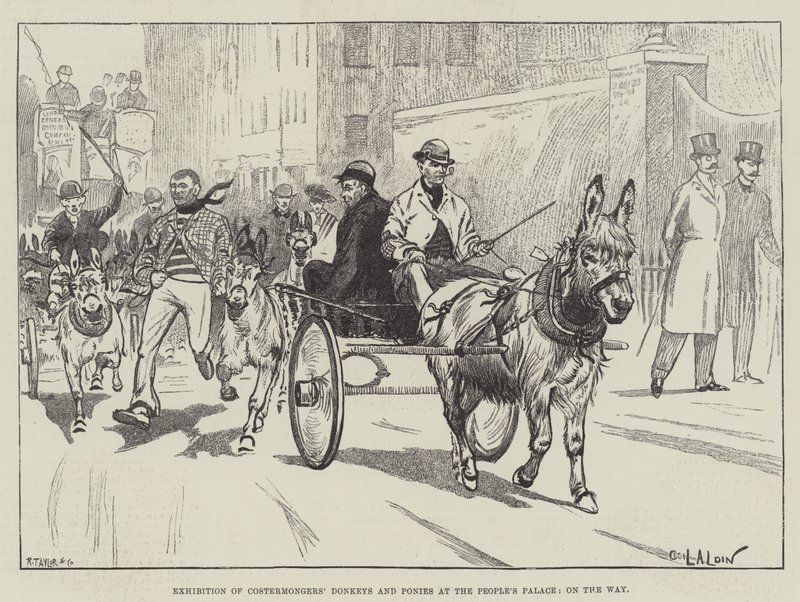 Exhibition of Costermongers