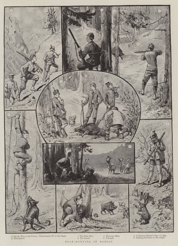 Boar-Hunting in Nassau by Charles Edwin Fripp