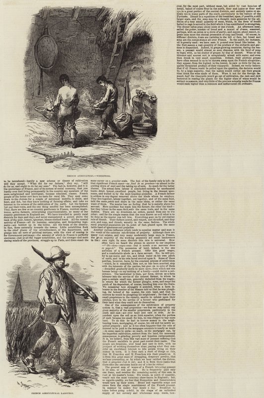 Agriculture in France by Charles Emile Jacque