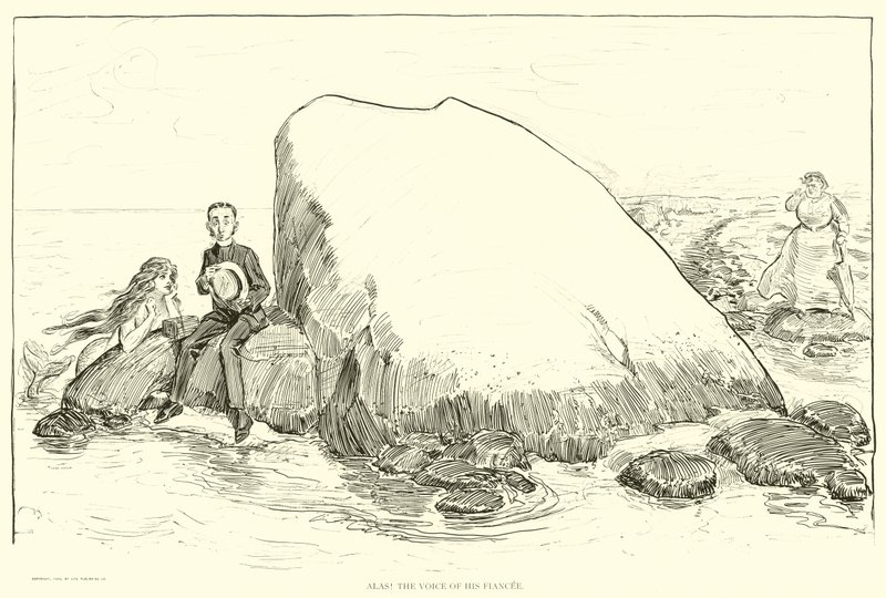 Illustration for The Social Ladder by Charles Dana Gibson