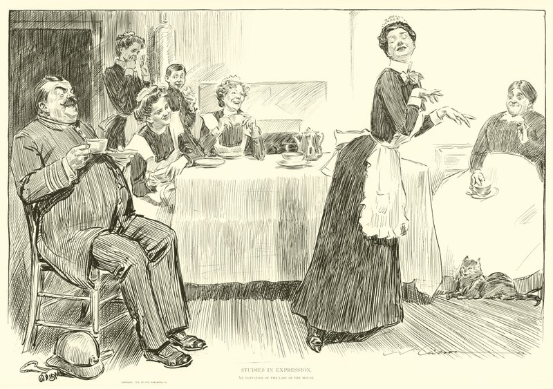 Illustration for The Social Ladder by Charles Dana Gibson