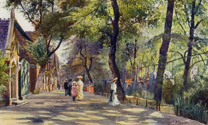 London Zoo: Parrot and Elephant Houses by Charles Edwin Flower
