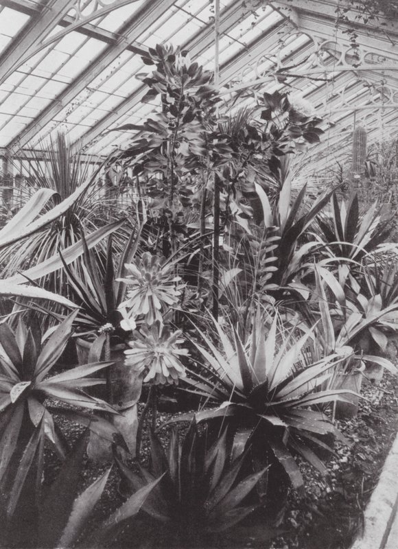 Kew Gardens, c.1900 by E. J. Wallis