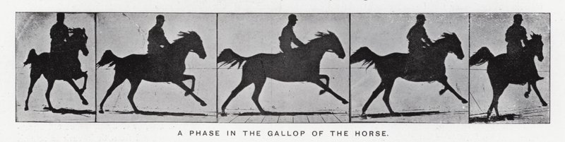 A Phase in the Gallop of the Horse by Eadweard Muybridge